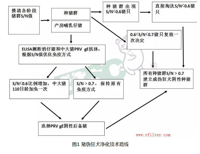 規(guī)模豬場如何凈化控制疫??？空氣過濾系統(tǒng)如何阻擋藍耳病毒株呢？